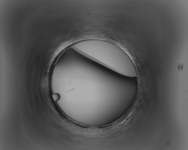 X0000096700008200802051112