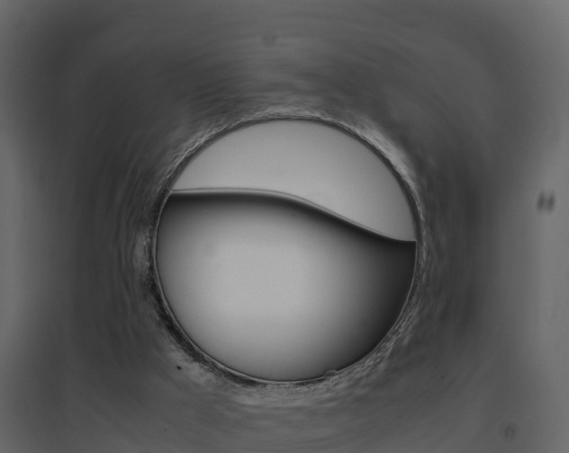 X0000096700009200802051112