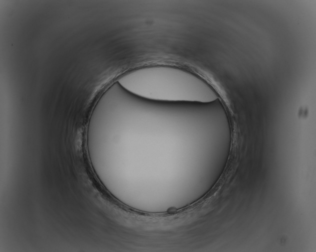 X0000096700010200802051112