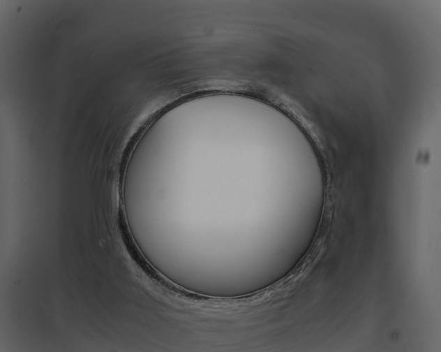 X0000096700011200802051112