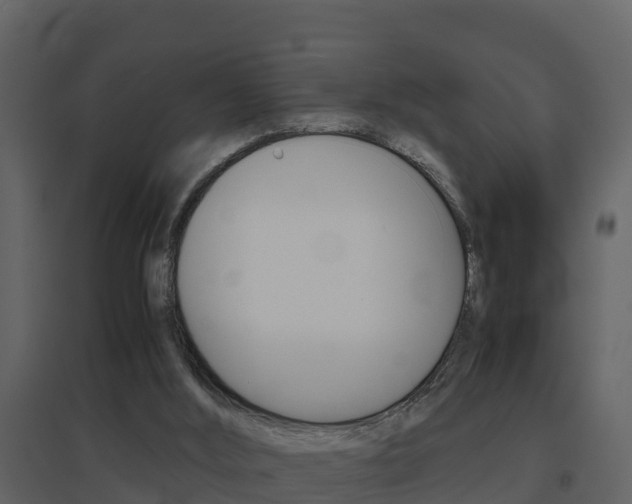 X0000096700012200802051112