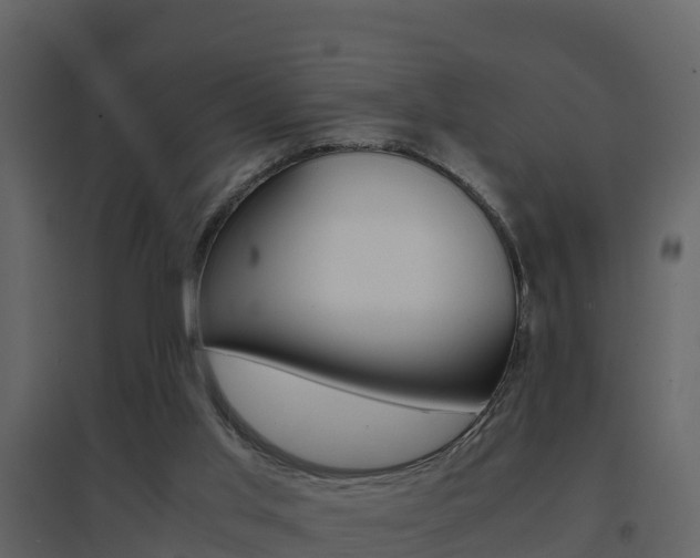 X0000096700013200802051112