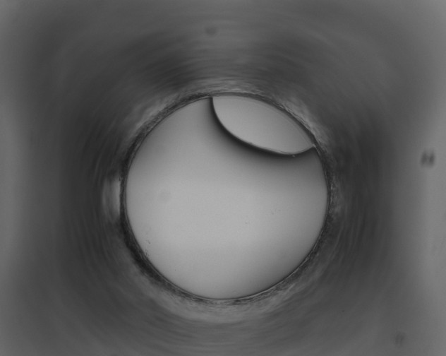 X0000096700014200802051112