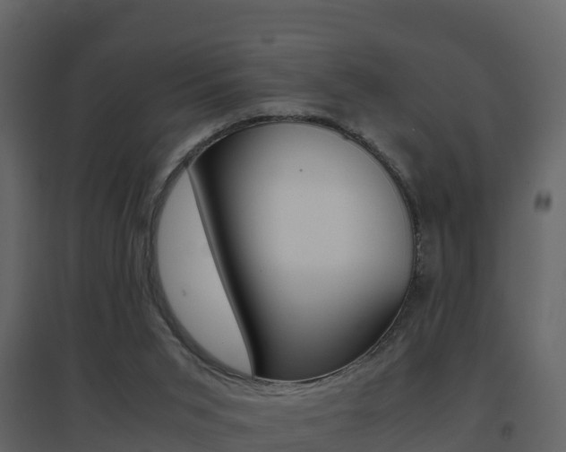 X0000096700015200802051112