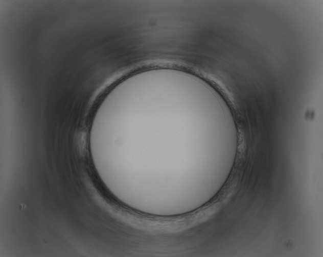 X0000096700016200802051112