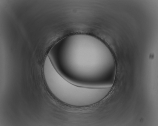 X0000096700017200802051112