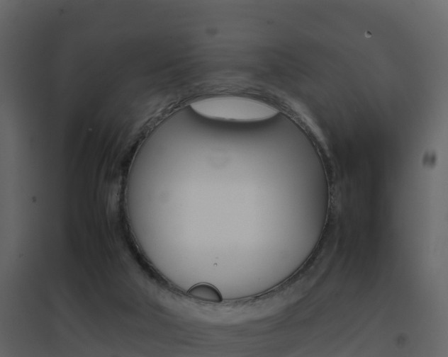 X0000096700018200802051112