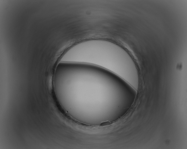X0000096700019200802051112