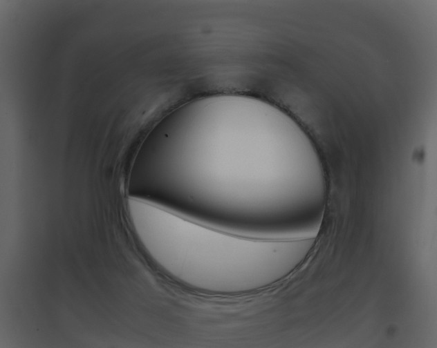 X0000096700021200802051112