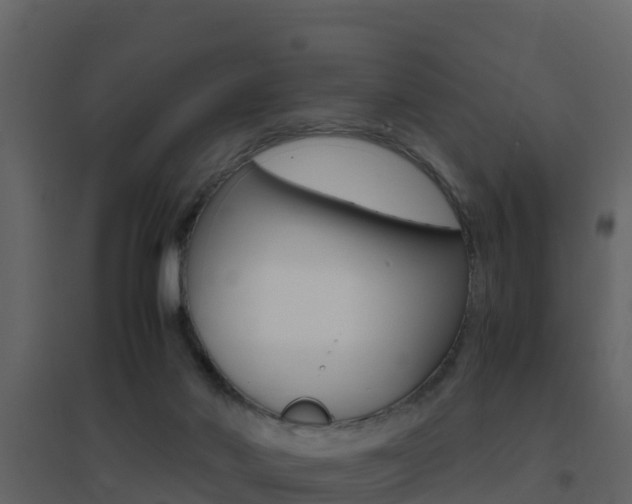 X0000096700022200802051112