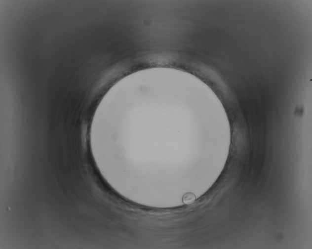 X0000096700024200802051112