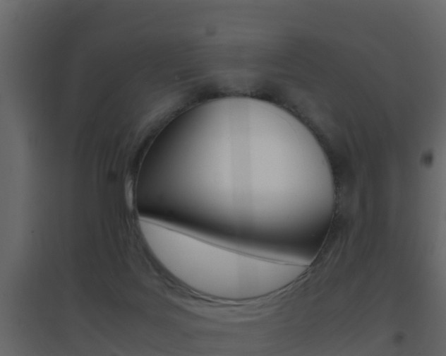 X0000096700027200802051111