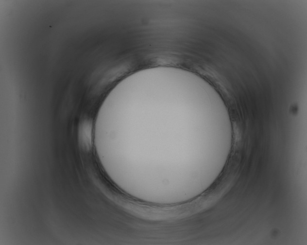 X0000096700028200802051111