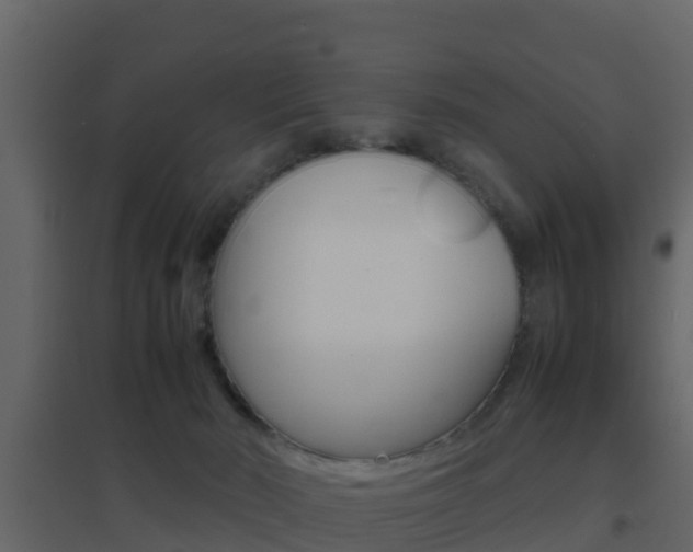 X0000096700030200802051111