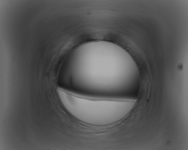X0000096700031200802051111