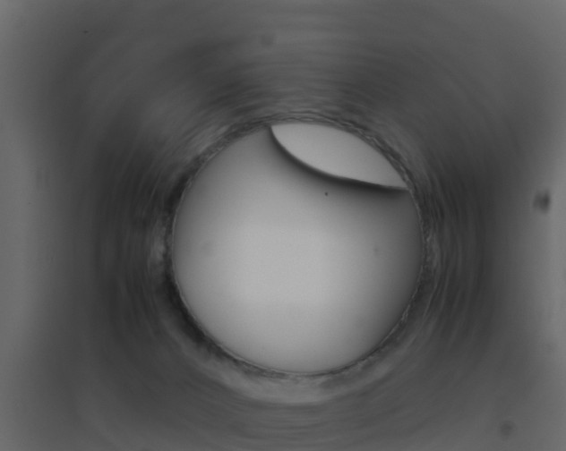 X0000096700032200802051111