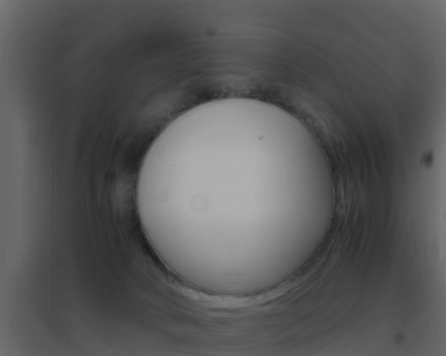 X0000096700034200802051111