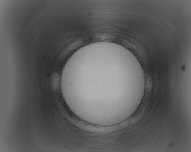 X0000096700036200802051111