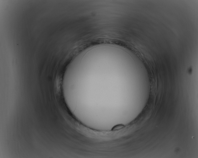 X0000096700038200802051111