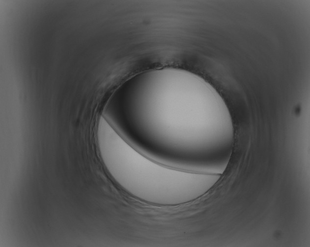 X0000096700039200802051111