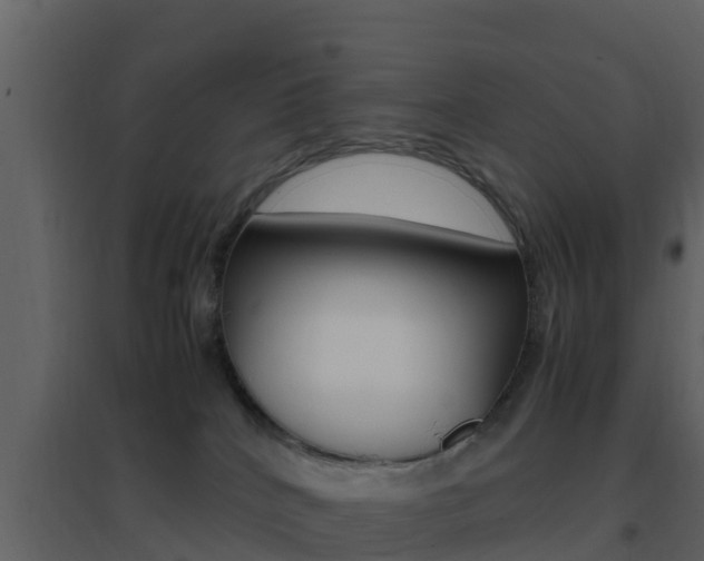 X0000096700040200802051111