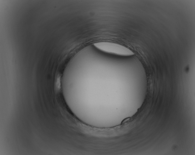 X0000096700042200802051111
