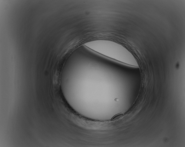 X0000096700044200802051111