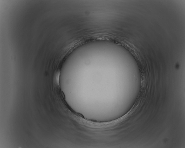 X0000096700047200802051111