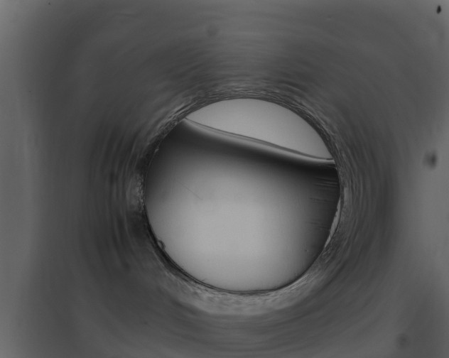 X0000096700048200802051111