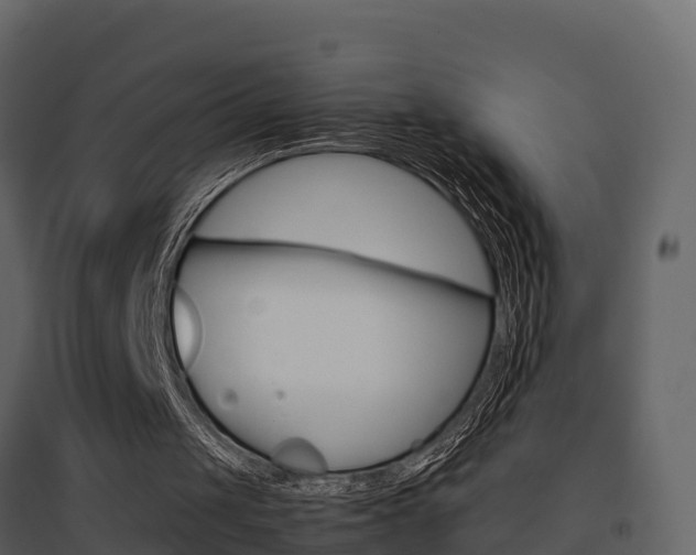 X0000096700049200802051110