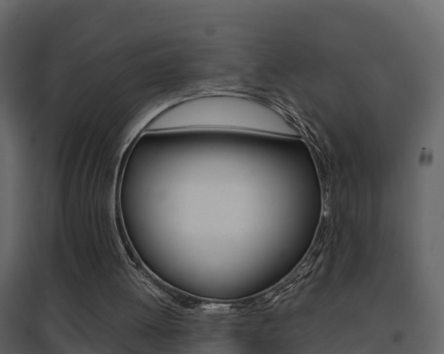 X0000096700052200802051110