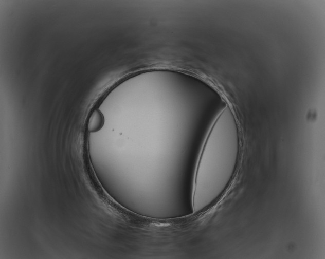 X0000096700055200802051110