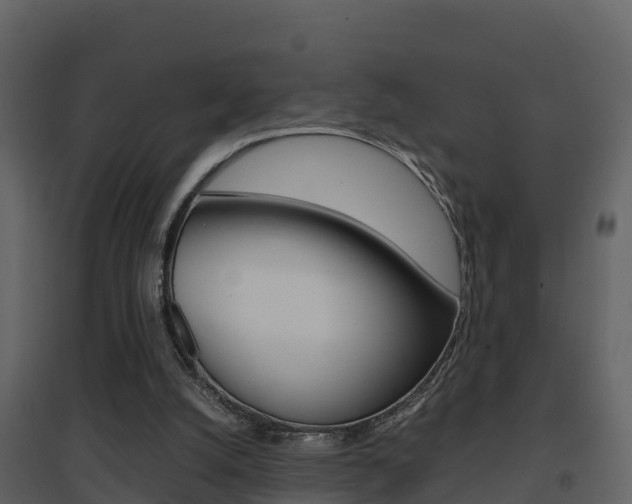 X0000096700056200802051110