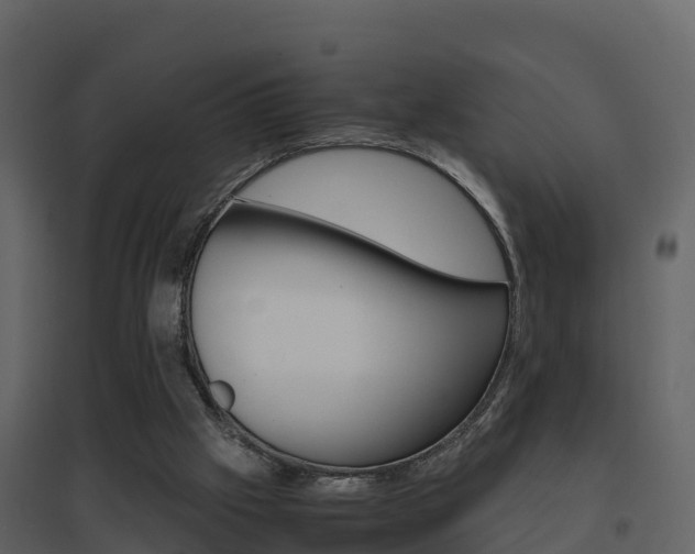 X0000096700057200802051110