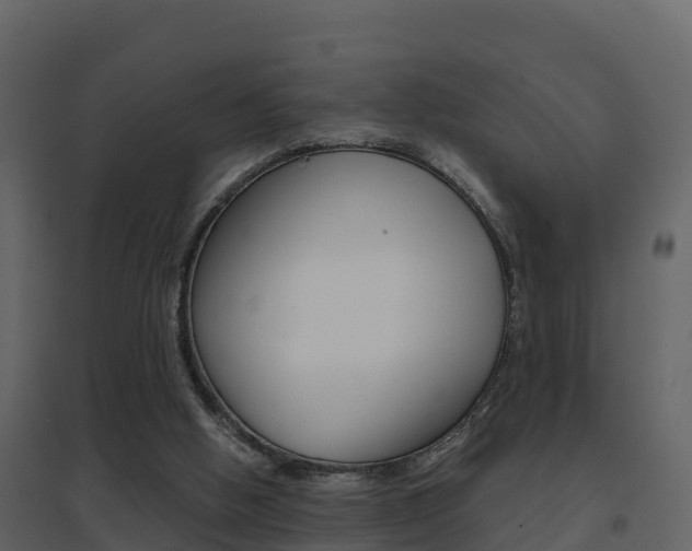 X0000096700058200802051110