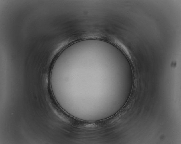 X0000096700059200802051110