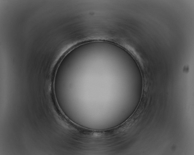 X0000096700060200802051110
