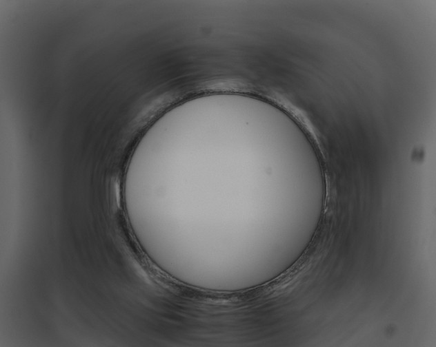 X0000096700061200802051110