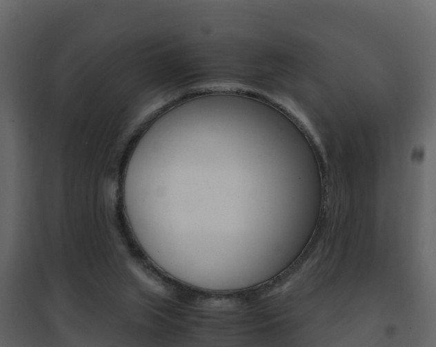 X0000096700063200802051110