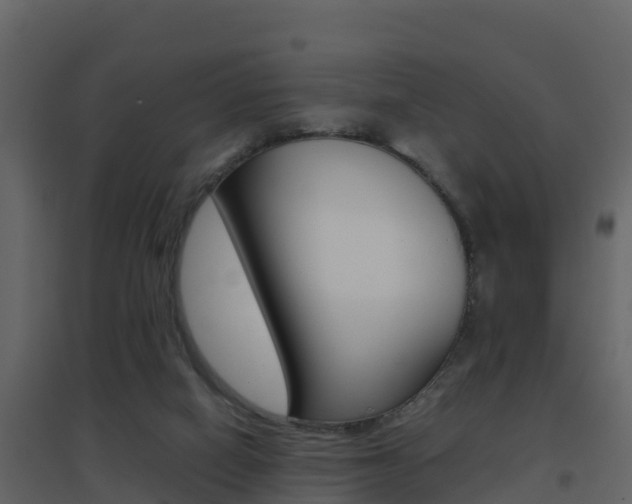 X0000096700066200802051111