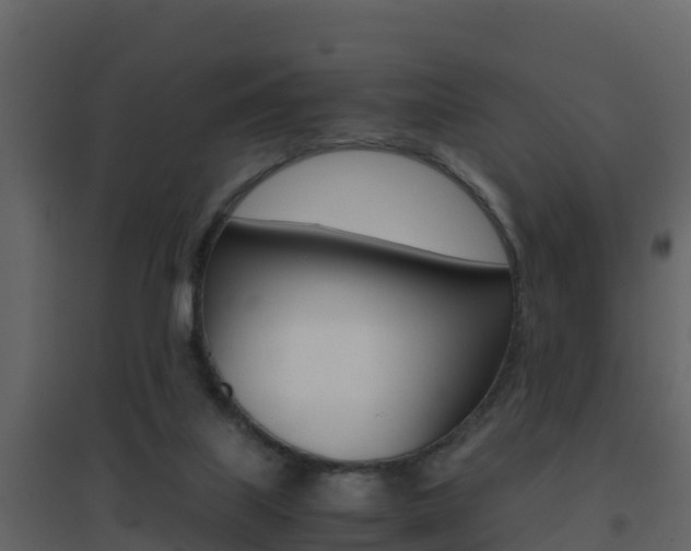 X0000096700067200802051111