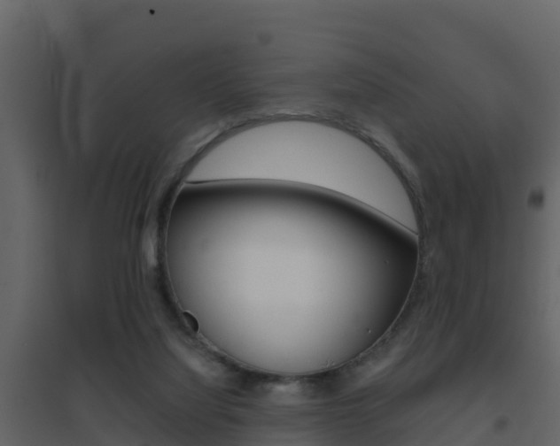 X0000096700068200802051111