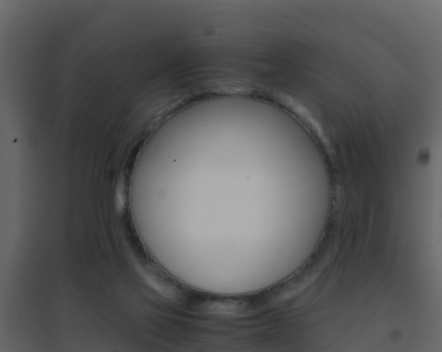 X0000096700069200802051111