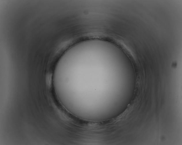 X0000096700070200802051111
