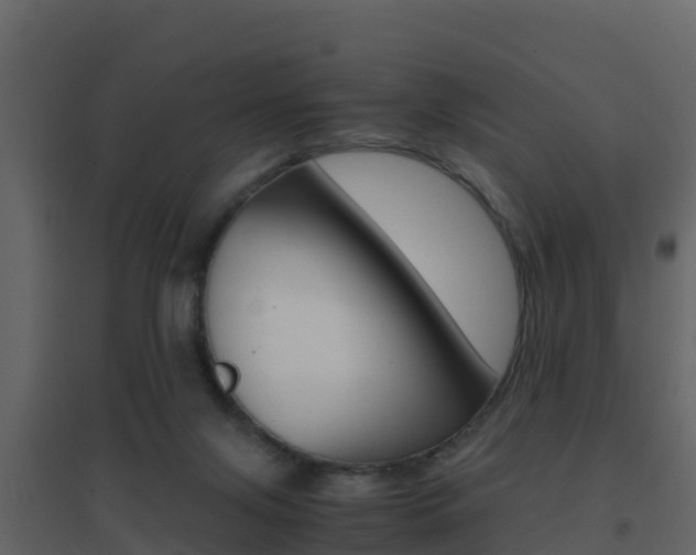 X0000096700071200802051111