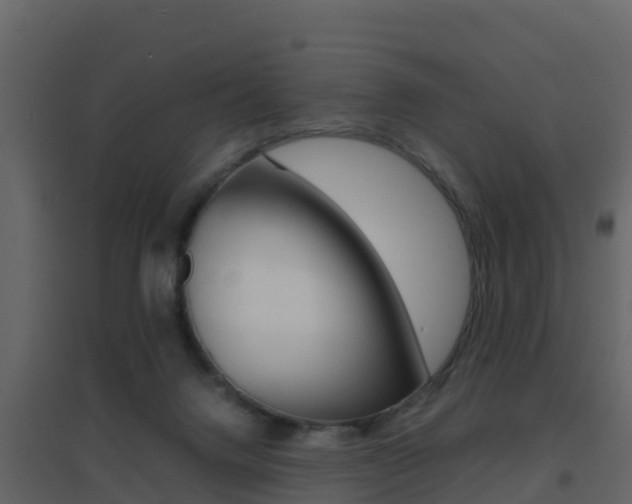 X0000096700072200802051111