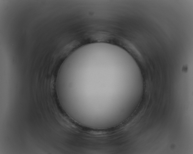 X0000096700073200802051111