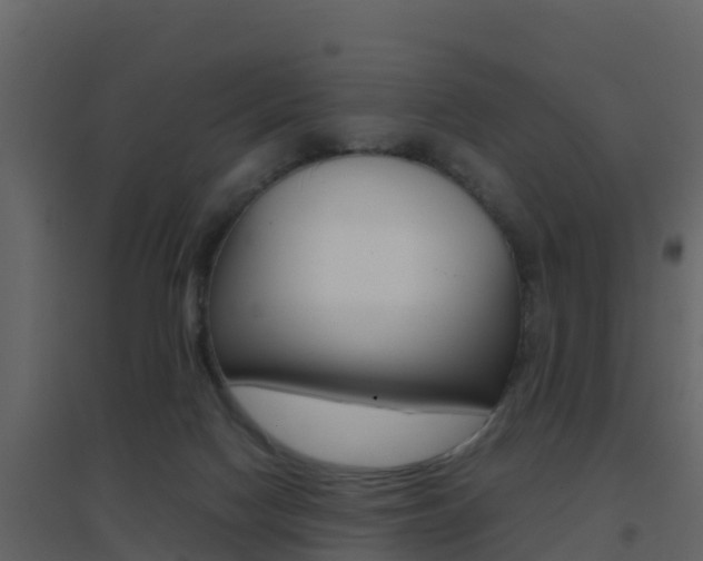 X0000096700074200802051111