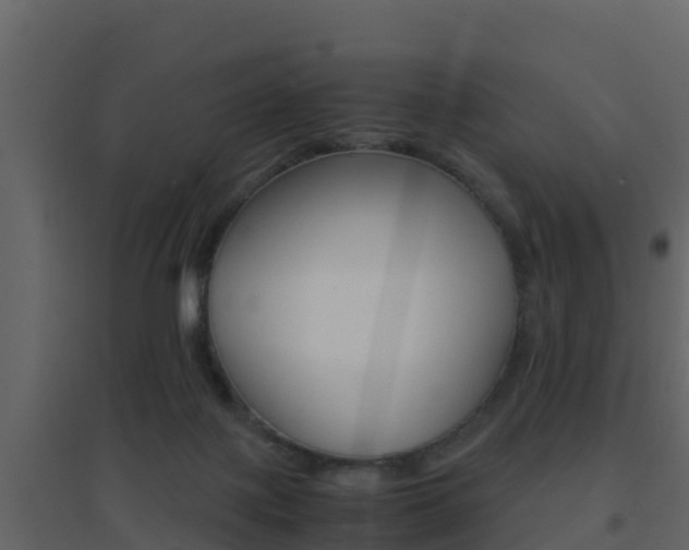 X0000096700075200802051111