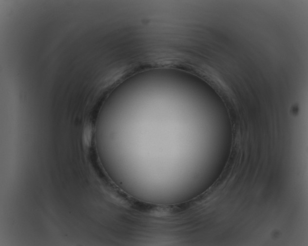 X0000096700076200802051111
